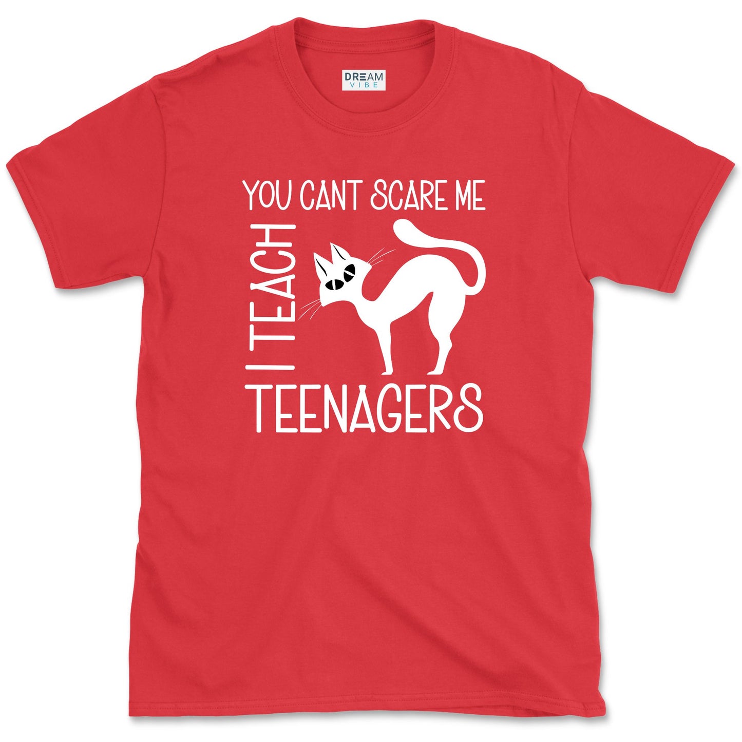 You Can't Scare Me I Teach Teenagers T-Shirt