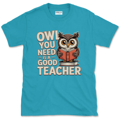 Owl You Need Is a Good Teacher T-Shirt